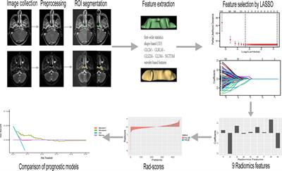 Integration of MRI-Based Radiomics Features, Clinicopathological Characteristics, and Blood Parameters: A Nomogram Model for Predicting Clinical Outcome in Nasopharyngeal Carcinoma